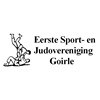 Examens judoclub Goirle een succes